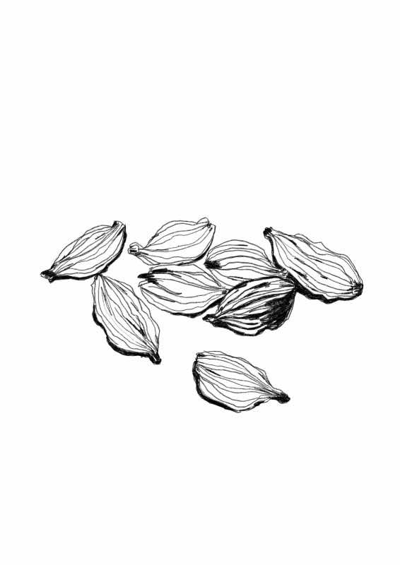 Cardamom